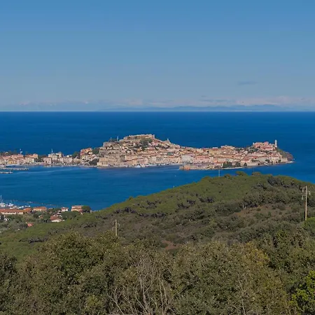 Cosmopoli - Goelba *